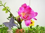 Frühling in der Eierschale