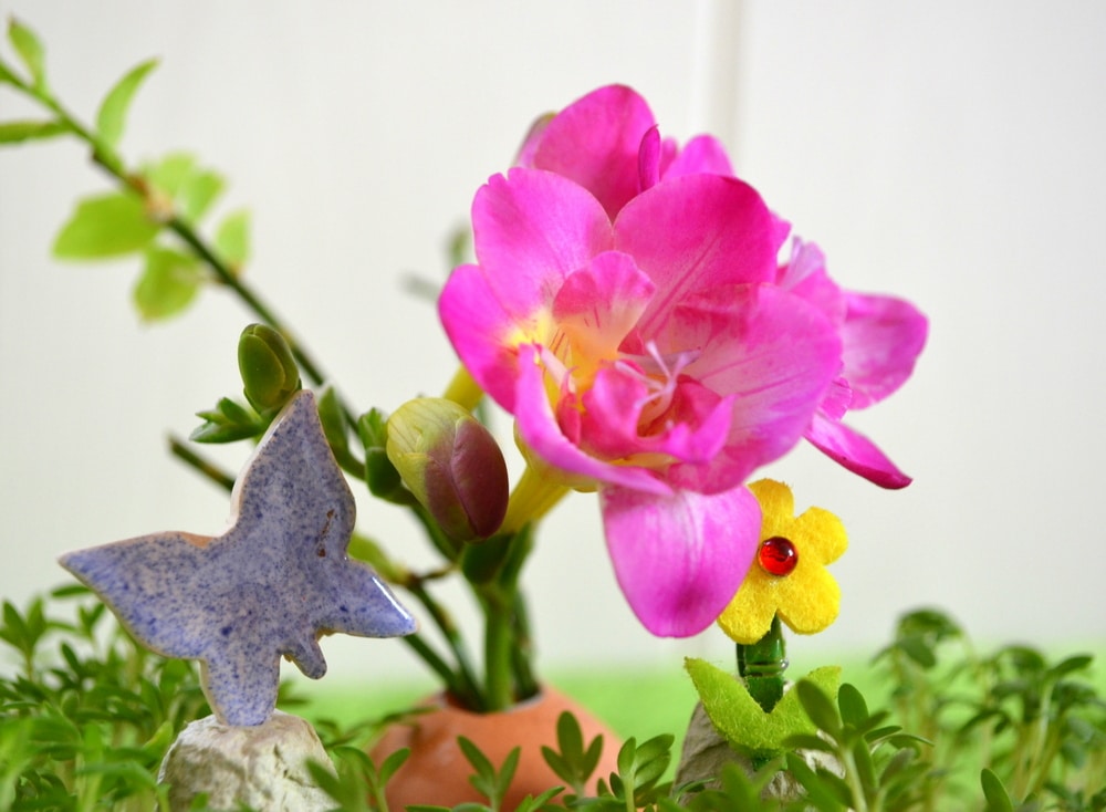 Frühling in der Eierschale