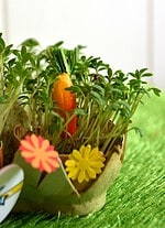 Frühling in der Eierschale