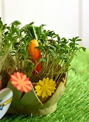 Frühling in der Eierschale
