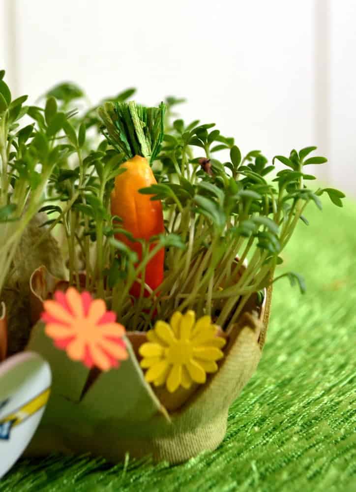 Frühling in der Eierschale