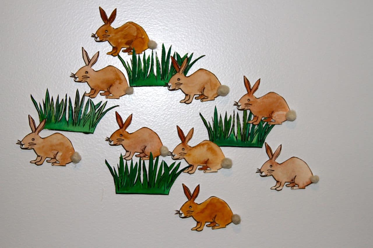 Bunnies all over
