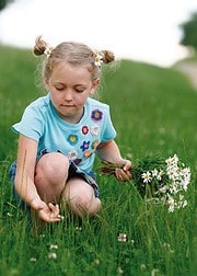 Kinder-Shirt Blumenwiese