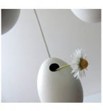 Ostereier mit Guckloch
