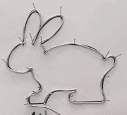 Dieser Hase ist auf Draht