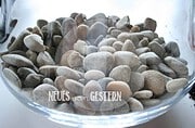 DIY Pflanzenterrarium