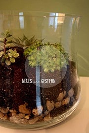 DIY Pflanzenterrarium