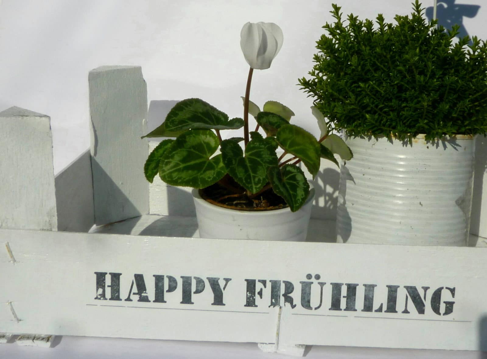 Frühlings-Kistchen mit Bildertransfer