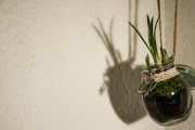 Frühling im Glas