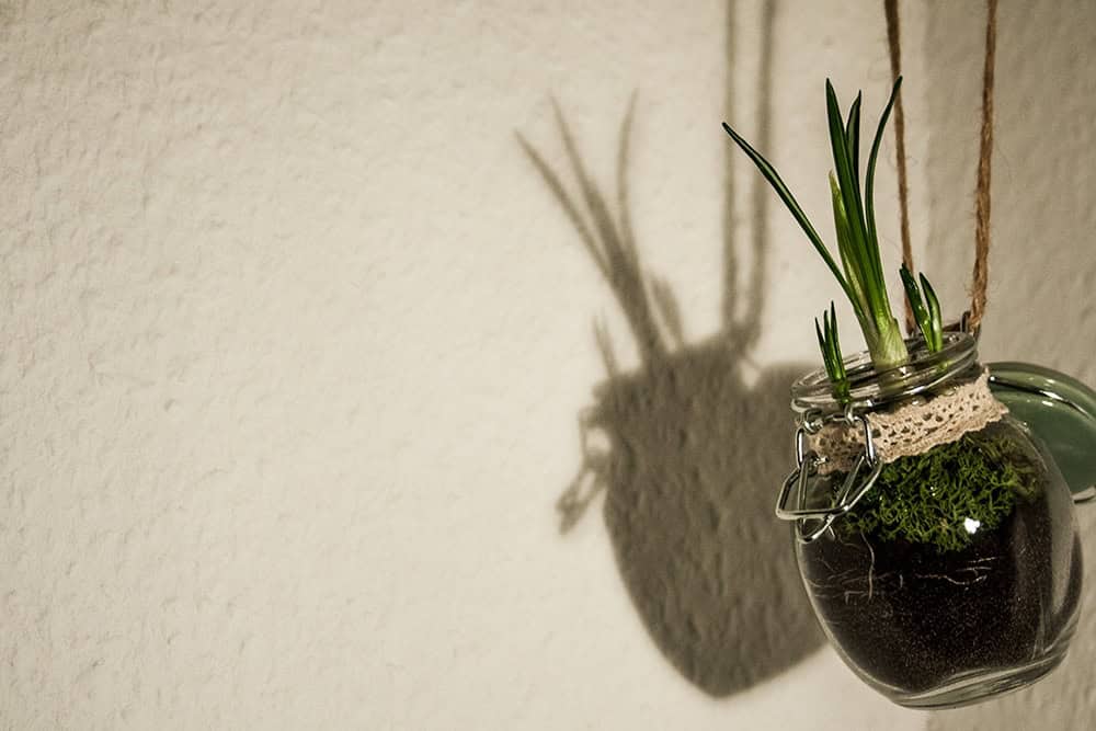 Frühling im Glas