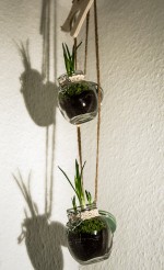 Frühling im Glas