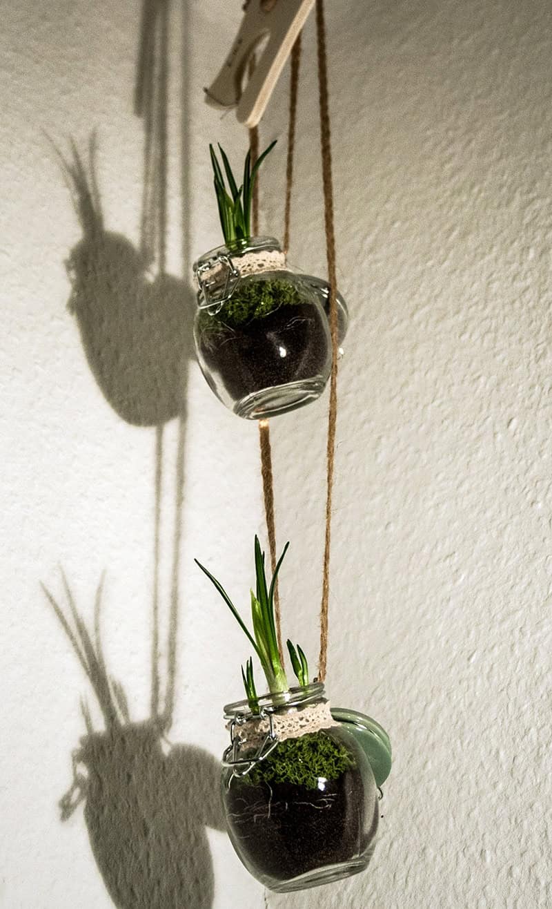 Frühling im Glas