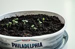 Green Upcycling