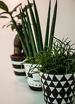 Blumentopf-Makeover