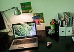 Pinnwandmodule