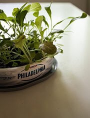 Green Upcycling