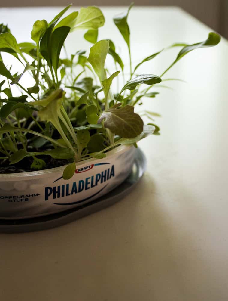 Green Upcycling