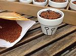 DIY Kressetöpfchen bemalen