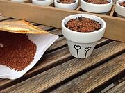 DIY Kressetöpfchen bemalen