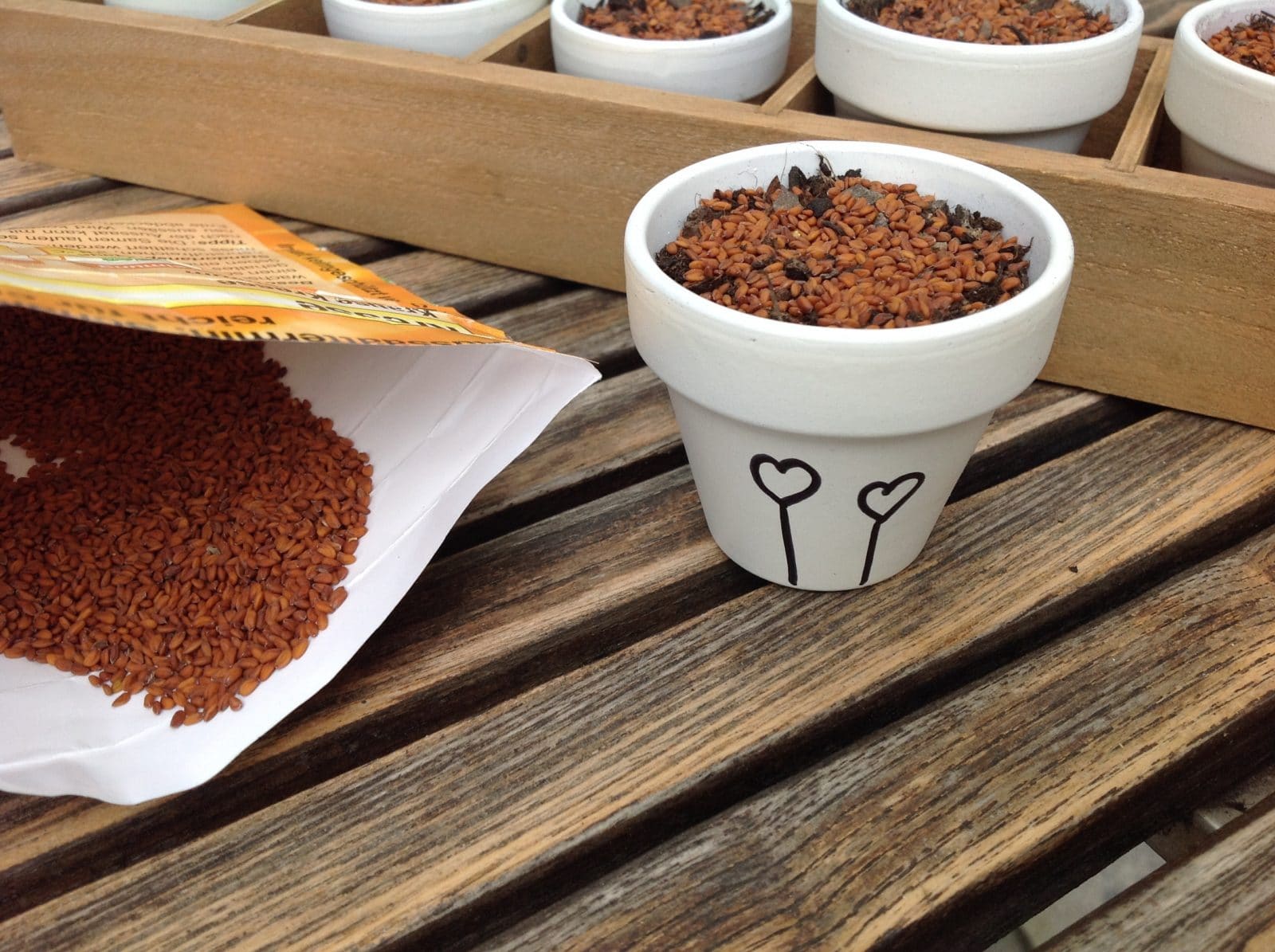 DIY Kressetöpfchen bemalen