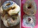 Leckere amerikanische Bagles