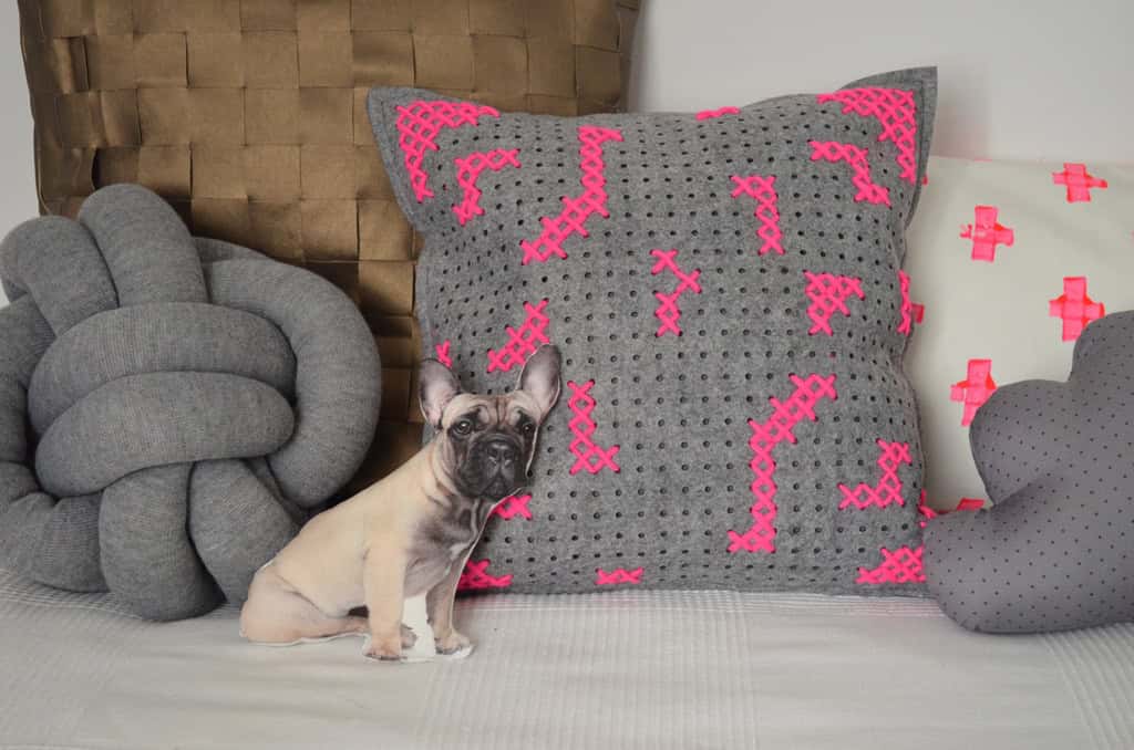 7 Tage 7 Kissen: Haben wir einen neuen Hund?