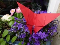 Faltanleitung: Origami Schmetterling