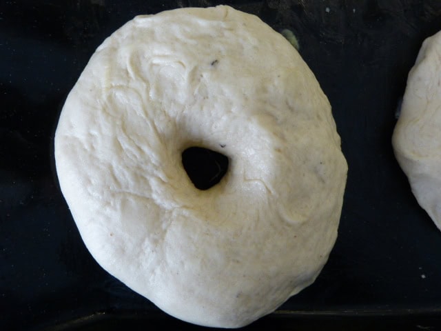 Leckere amerikanische Bagles