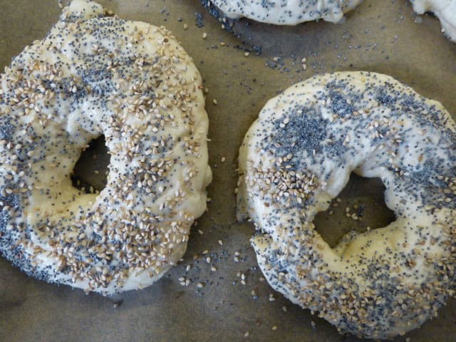 Leckere amerikanische Bagles