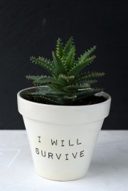 Der "I will survive"- Blumentopf