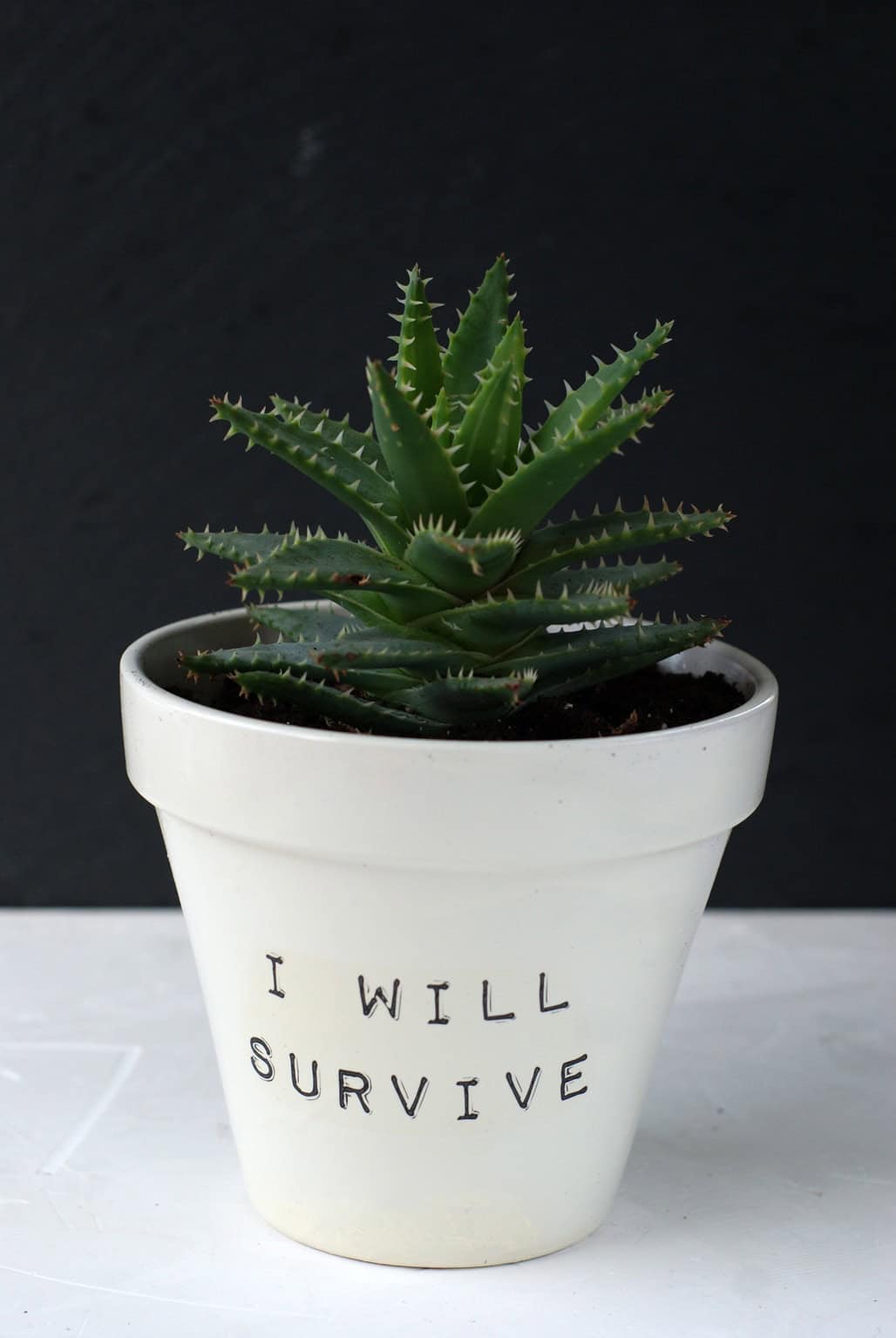 Der „I will survive“- Blumentopf