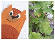 Nussige Eichhörnchen Handyhülle