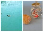 Fisch im Glas – Kette