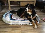 Hunde- und Katzenkörbchen aus „Stoffresten“