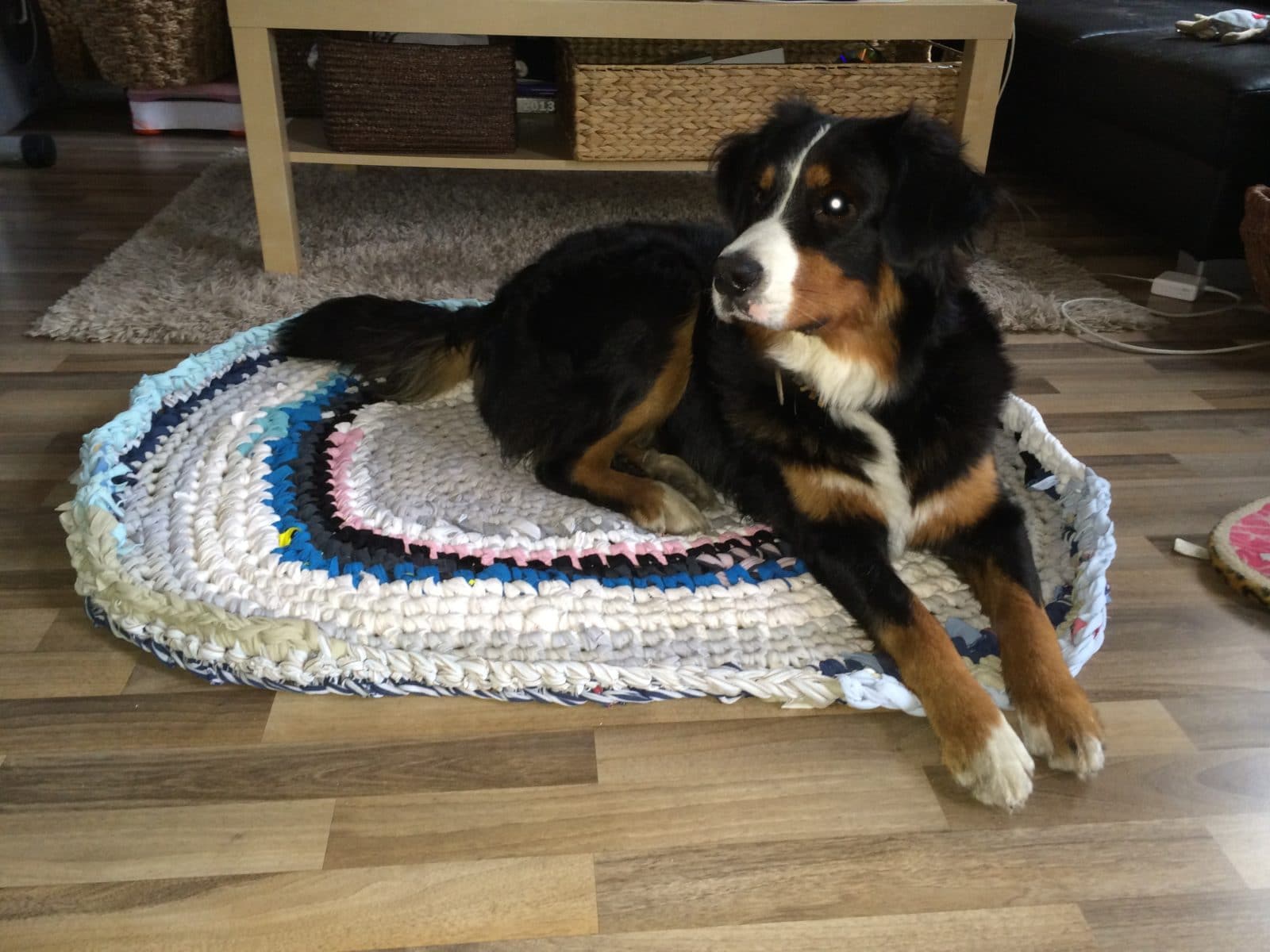 Hunde- und Katzenkörbchen aus „Stoffresten“
