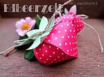 DIY Erdbeeren zum selber machen