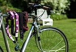 Sommer, Sonne, Fahrradtouren