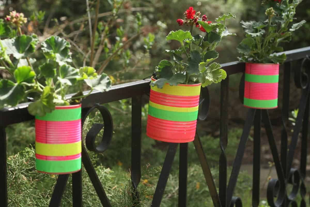 Geranien-Dosen - HANDMADE Kultur