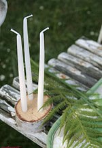Kerzenständer aus Birkenstammscheiben