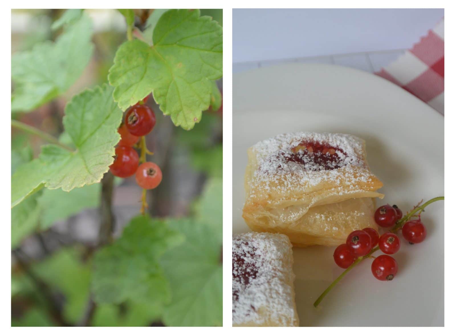 {Rezept} Schützen-Krapfen