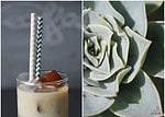Vegan Almond Iced Coffee