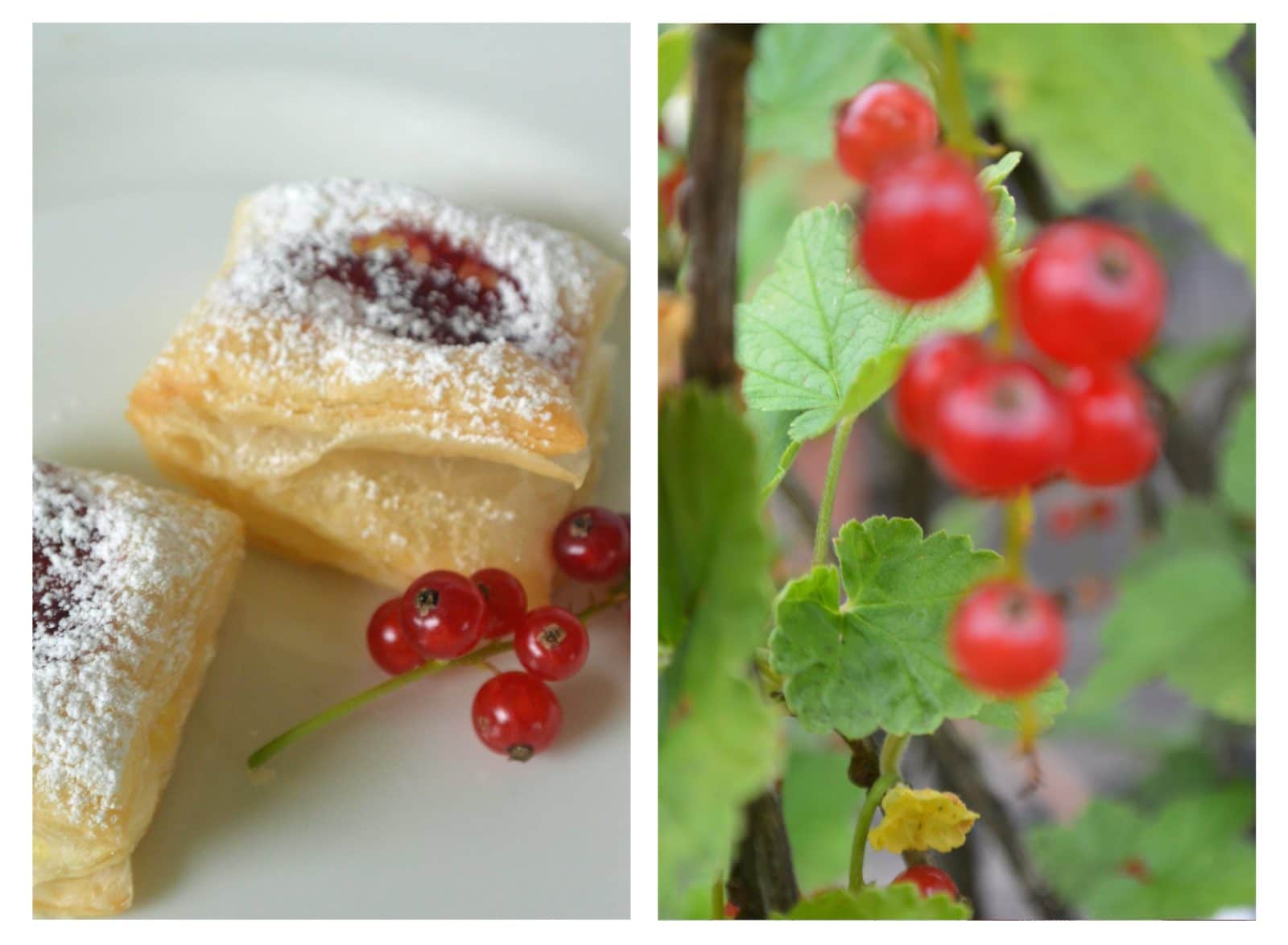 {Rezept} Schützen-Krapfen