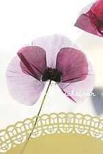 Fang den Sommer ein! DIY mit Blumen