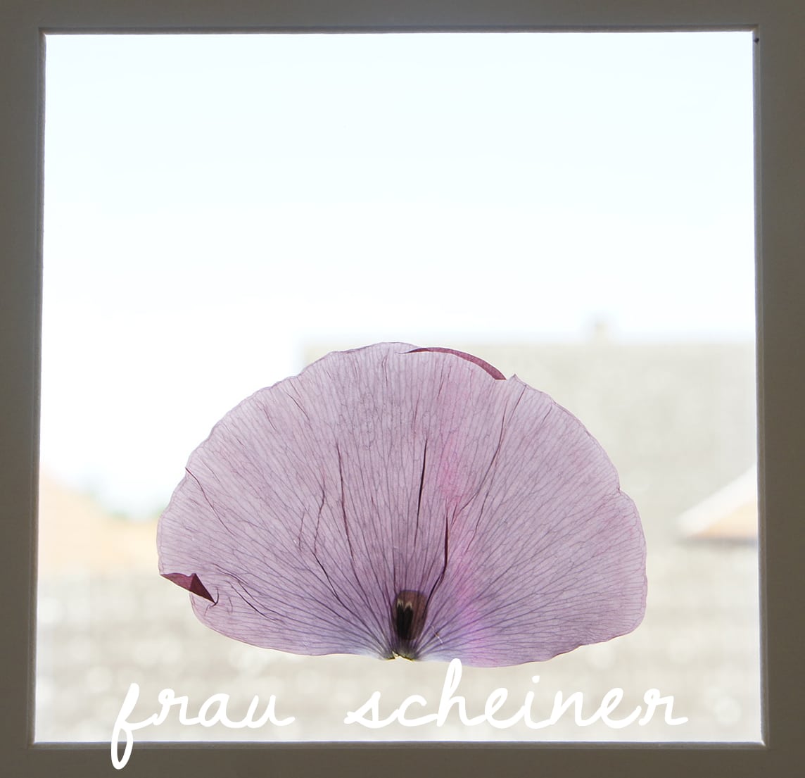 Fang den Sommer ein! DIY mit Blumen