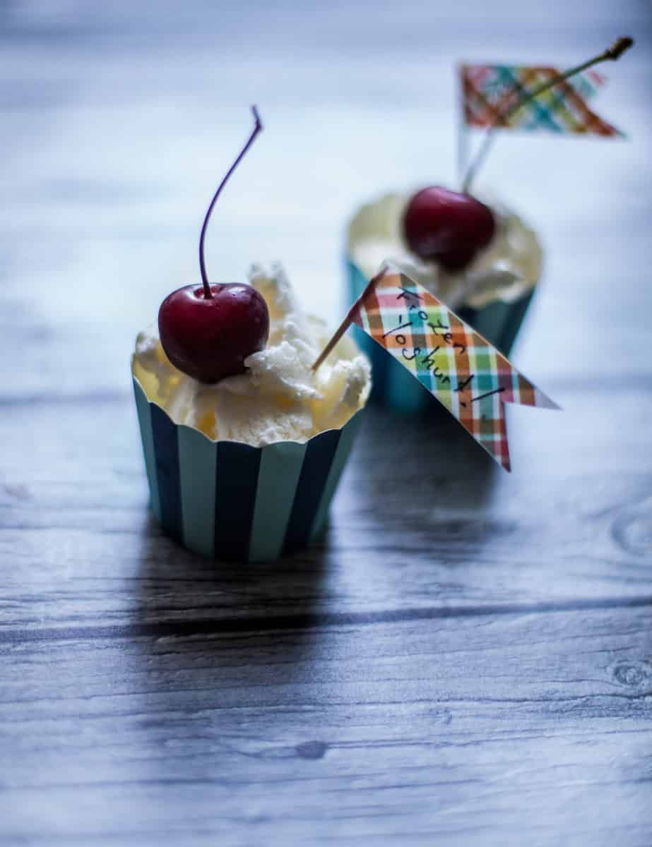 Frozen Yoghurt