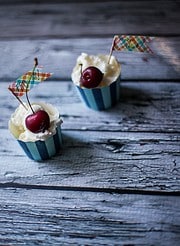 Frozen Yoghurt
