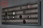 Herrin der Ringe