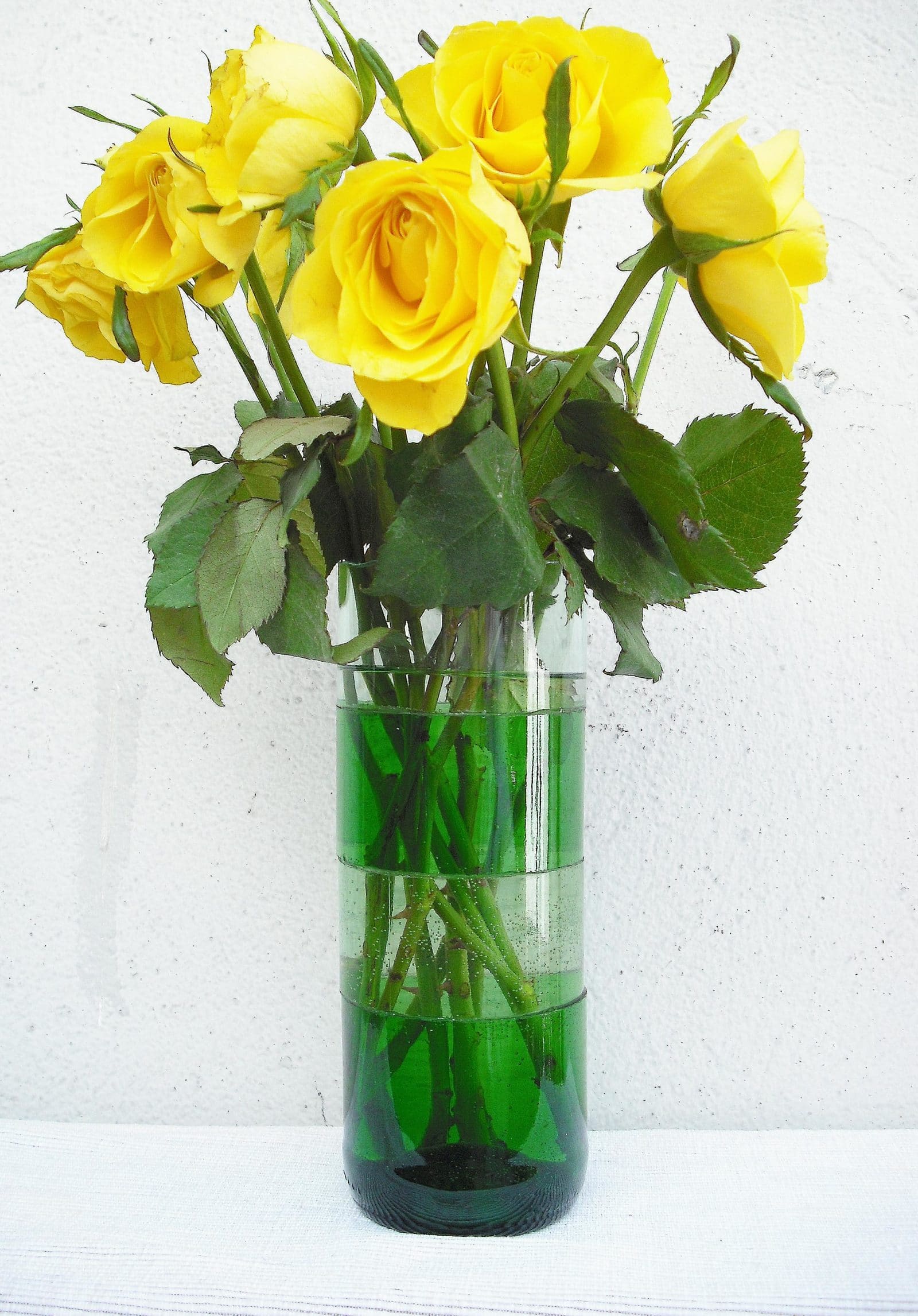 Vase in Scheiben