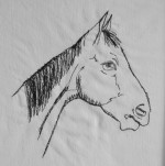 BLOG – Unikationale