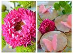 {Rezept} Leckere Schmetterling – Glitzer – Muffins